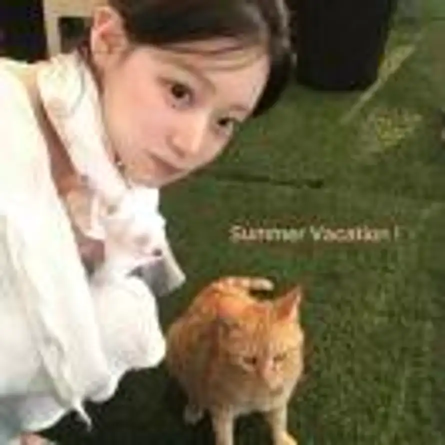 橘子猫🐱的头像