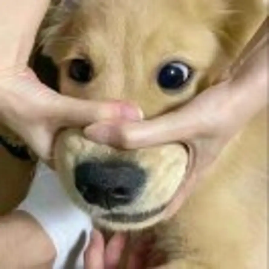 哭包llll的头像