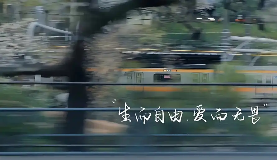 2k出行壁纸-氛围感壁纸和文字-生而自由爱而无畏「哲风壁纸」