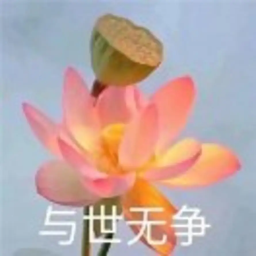 叶平安的头像