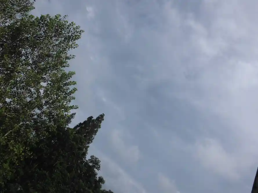 4k天空壁纸 - 户外 - 晴天 - 树叶「哲风壁纸」 4k天空壁纸 - 户外 - 晴天 - 树叶「哲风壁纸」