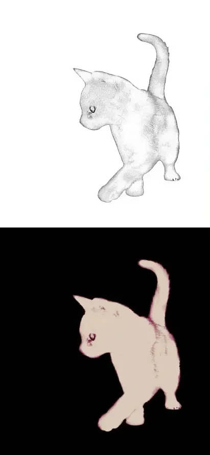4k动物壁纸 - 可爱 - 宠物 - 小猫「哲风壁纸」