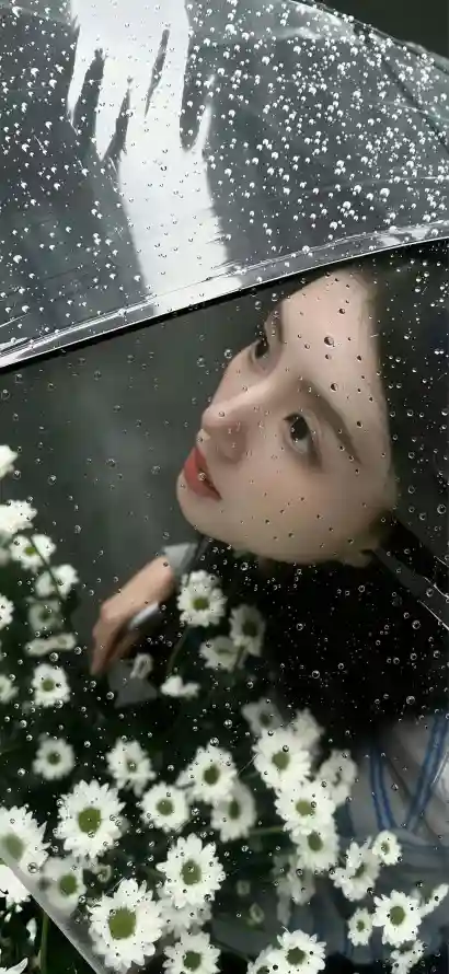主题背景图片