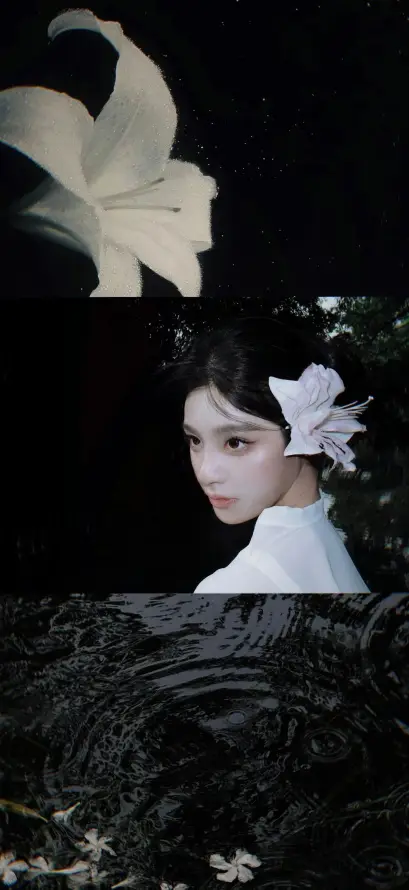 主题背景图片
