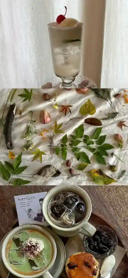 4k杯子壁纸 - 落叶 - 美食 - 甜点「哲风壁纸」