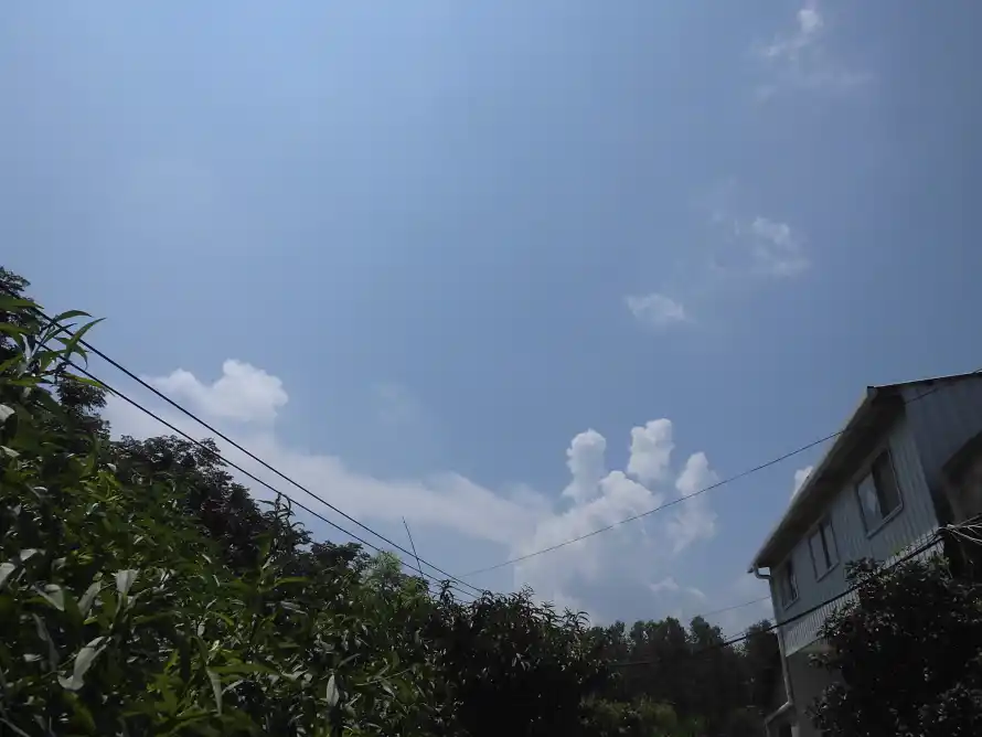 4k夏日壁纸 - 天空 - 屋顶 - 户外「哲风壁纸」