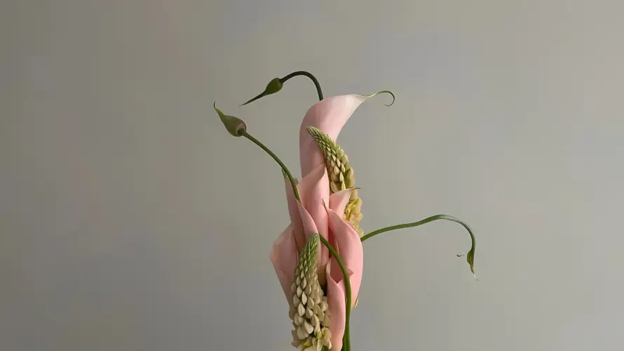 2k插花壁纸-灰色背景 - 花枝-免费下载「哲风壁纸」