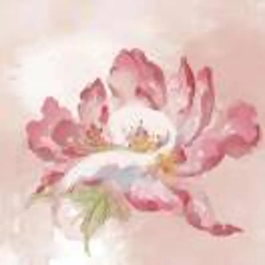王池的头像