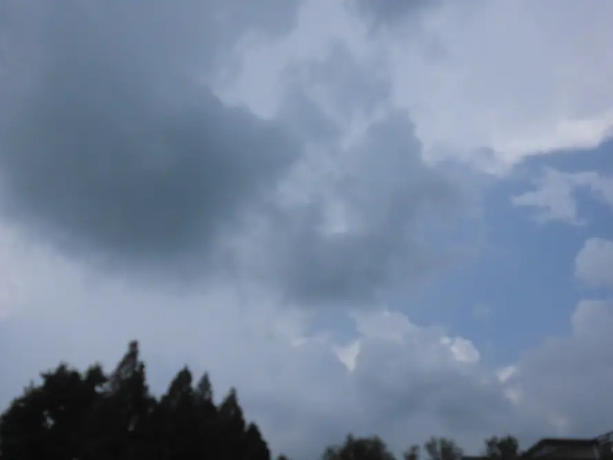 4k云层壁纸 - 天空 - 户外 - 树木「哲风壁纸」