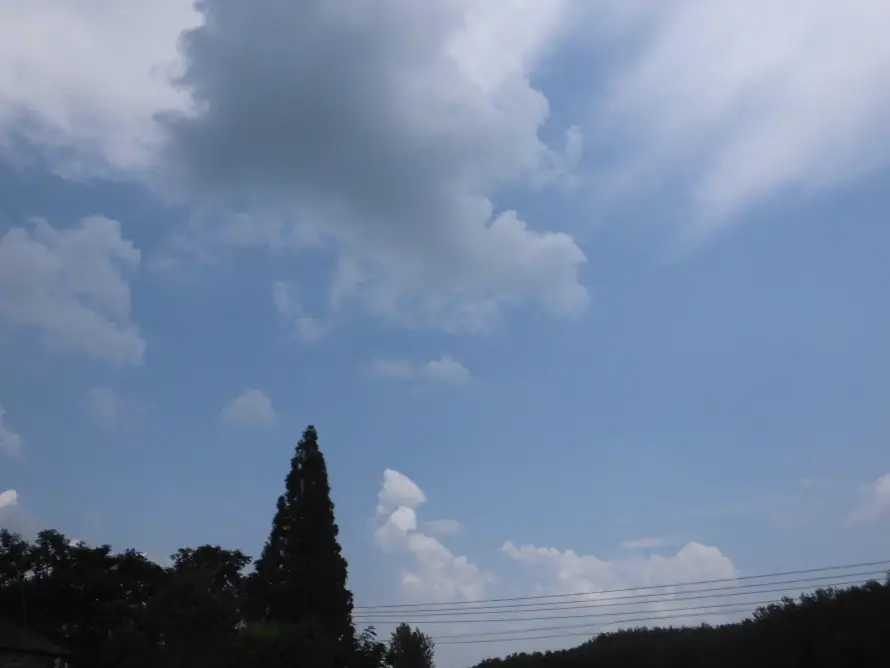 4k云彩壁纸 - 天空 - 户外 - 松树「哲风壁纸」