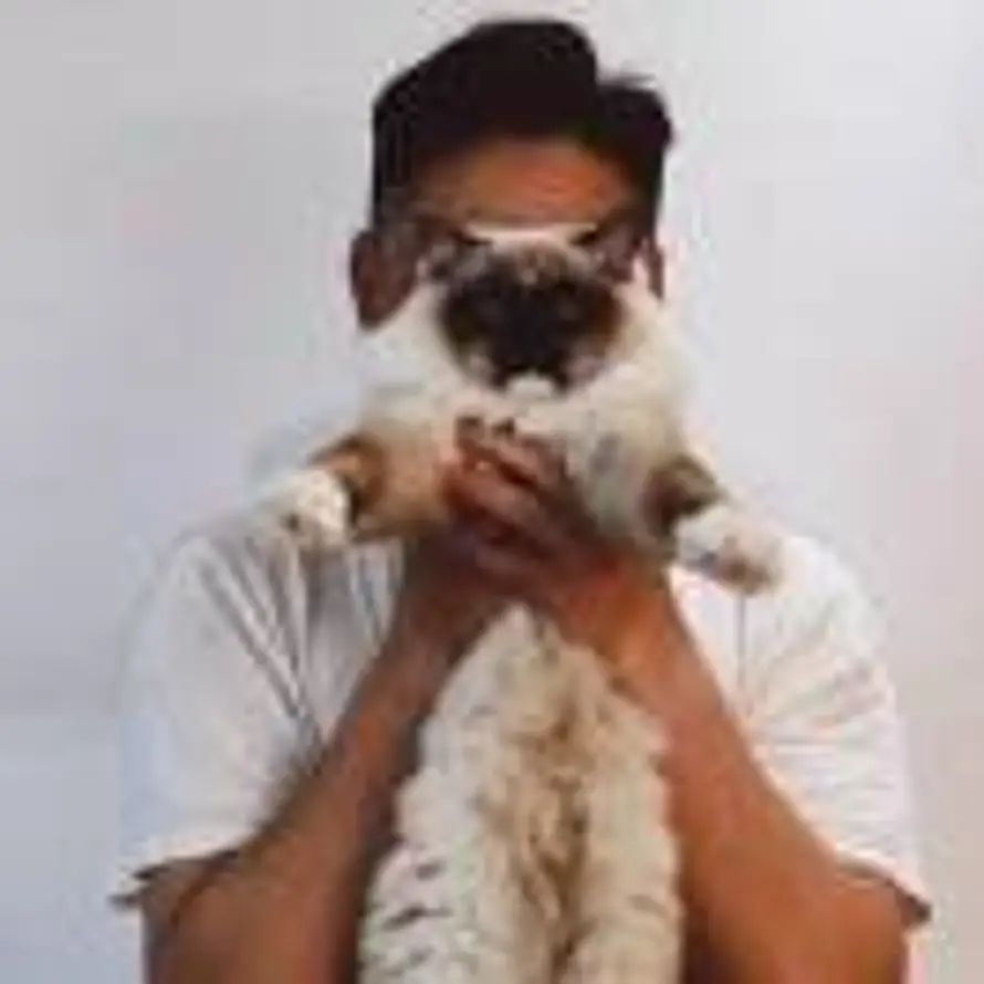 湿猫的头像