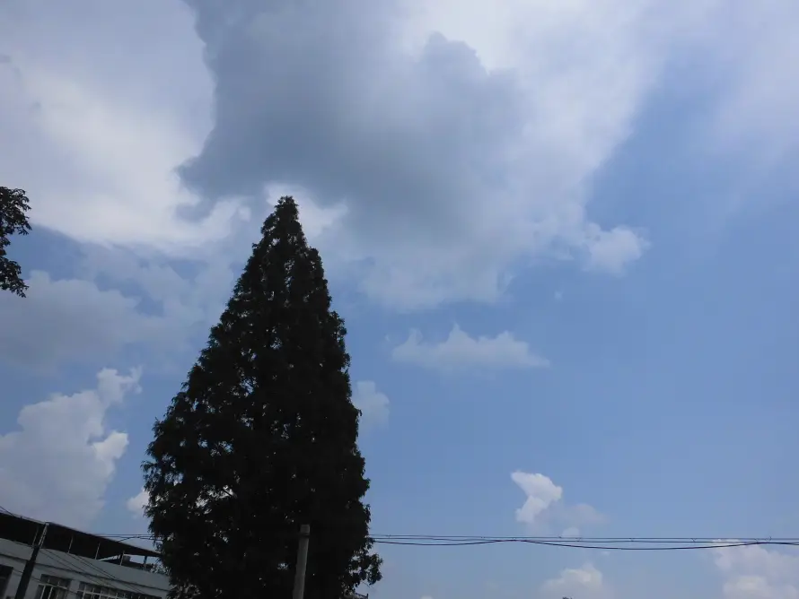4k云朵壁纸 - 天空 - 户外 - 晴天「哲风壁纸」