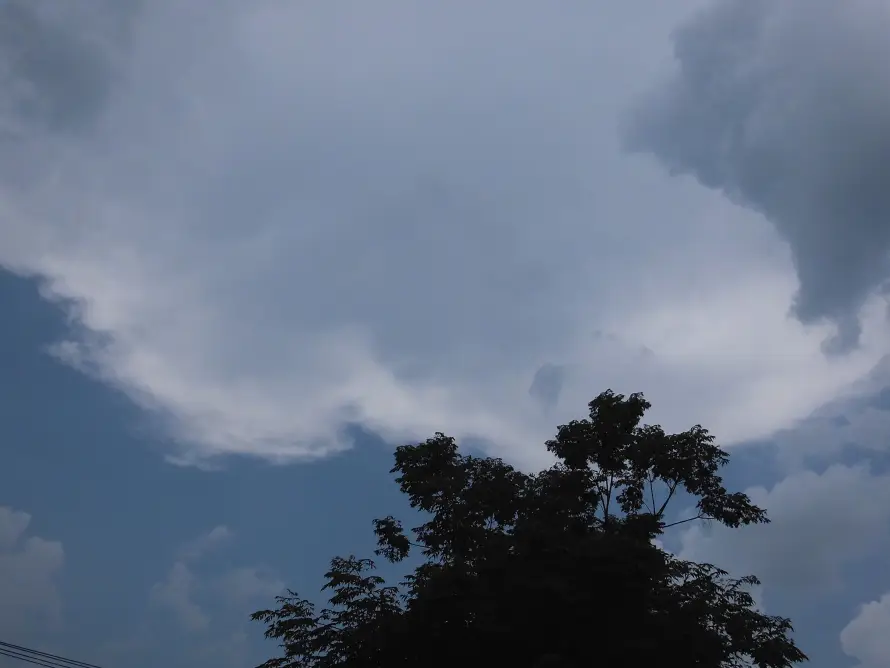 4k云朵壁纸 - 天空 - 户外 - 树木「哲风壁纸」