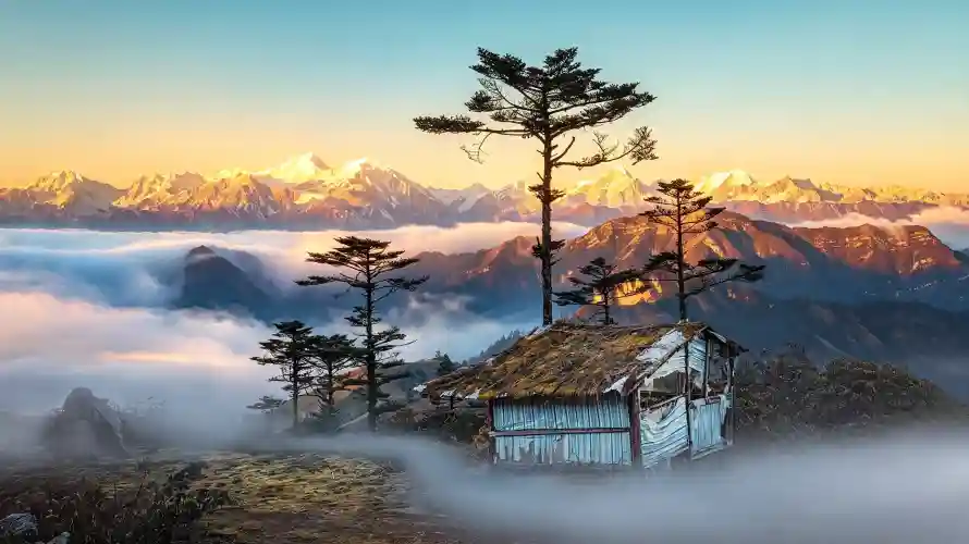 4k4K壁纸 - 松树 - 山脉 - 高山「哲风壁纸」