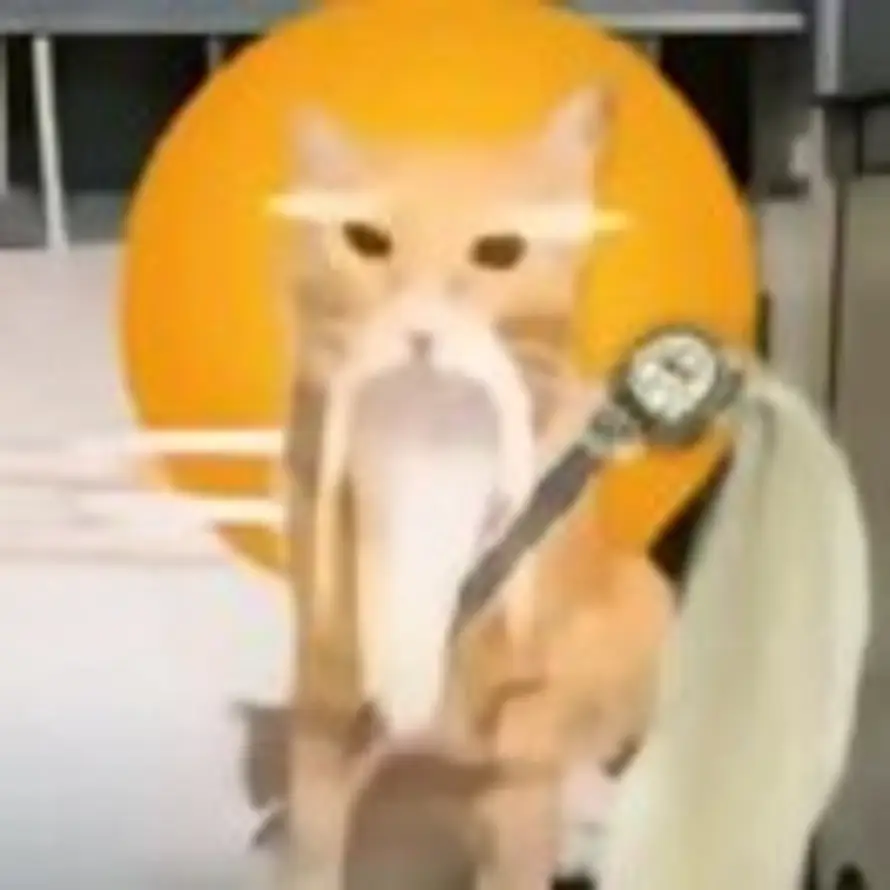 满的头像