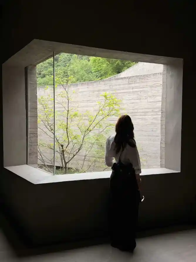 4k女生壁纸 - 安静 - 室内 - 树木「哲风壁纸」