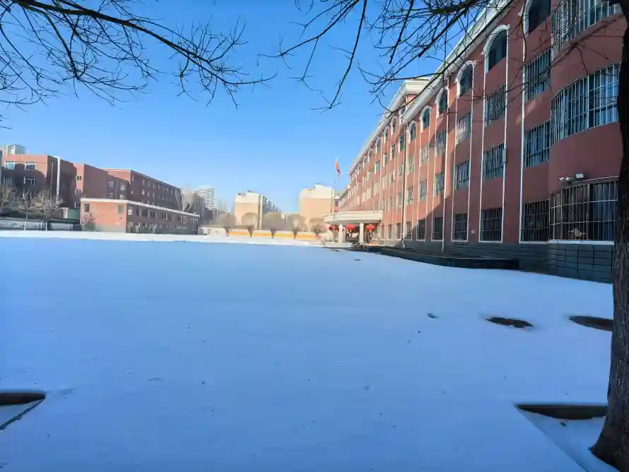 4k冬天壁纸-枯树枝与雪地-热门的壁纸「哲风壁纸」