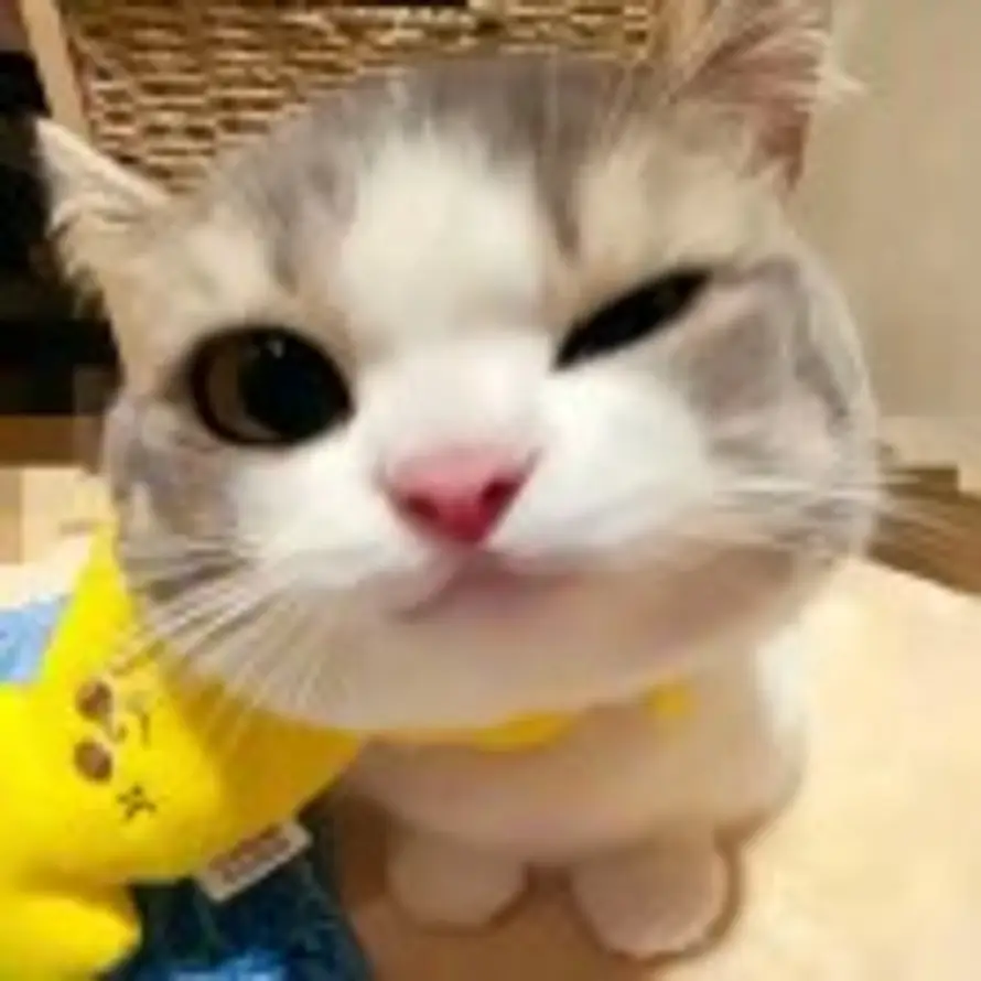 玩个der儿 的头像