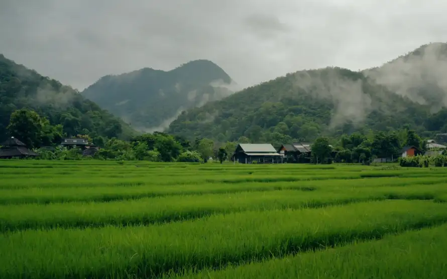 4k乡村壁纸 - 云雾 - 农田 - 山峦「哲风壁纸」