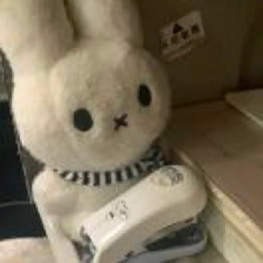 孤独的不倒翁的头像