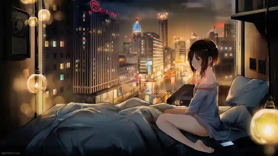 最喜欢的图像