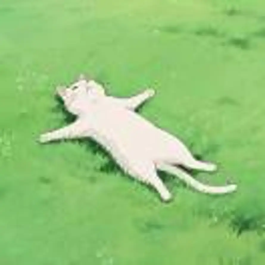 廿一的头像
