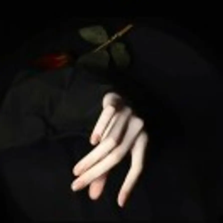 ღ᭄墨言প᭄᪲的头像