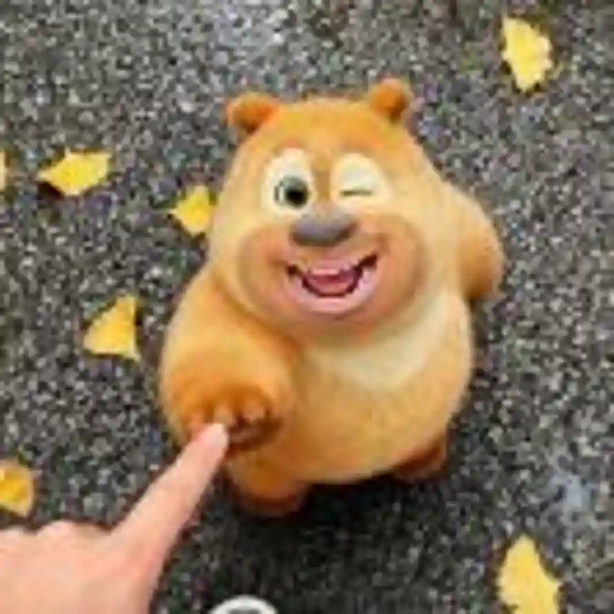 蓬松感超标的头像