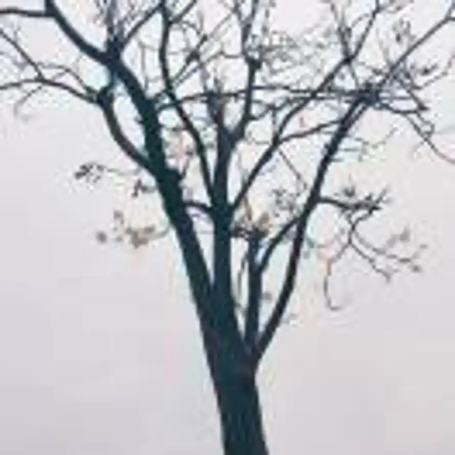 南北西东的头像