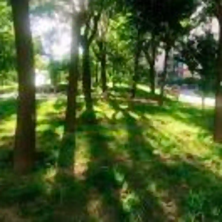 Zzzzz的用户头像 - 哲风壁纸