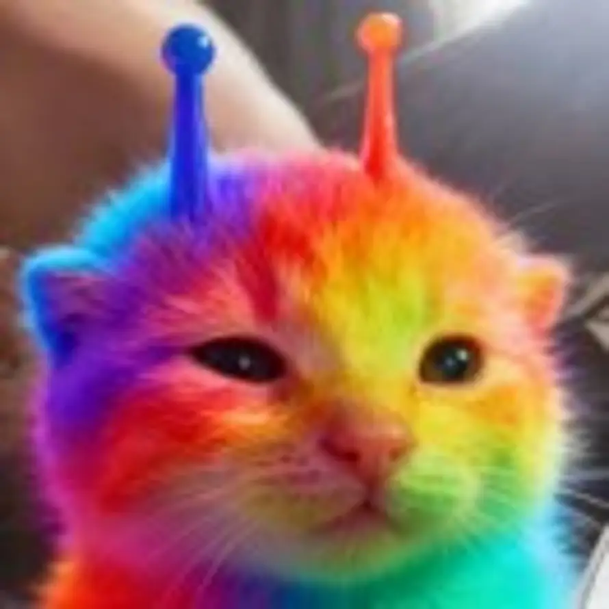 👽的猫的头像