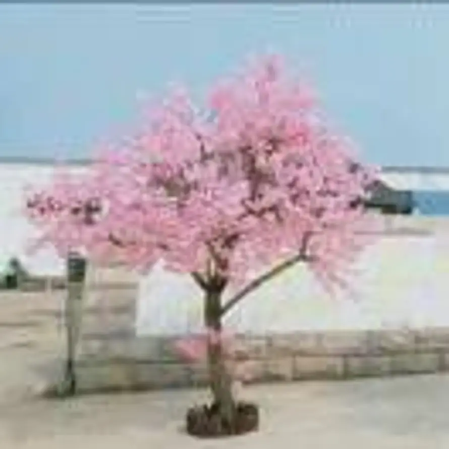 ㅤ  ㅤ李桂花的用户头像 - 哲风壁纸