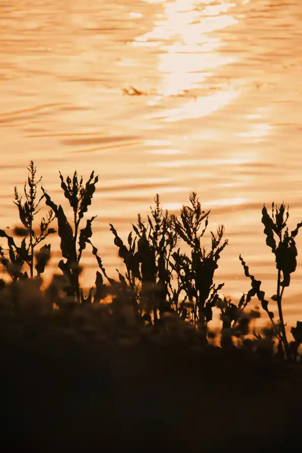 4k剪影壁纸 - 夕阳 - 天空 - 暖光「哲风壁纸」