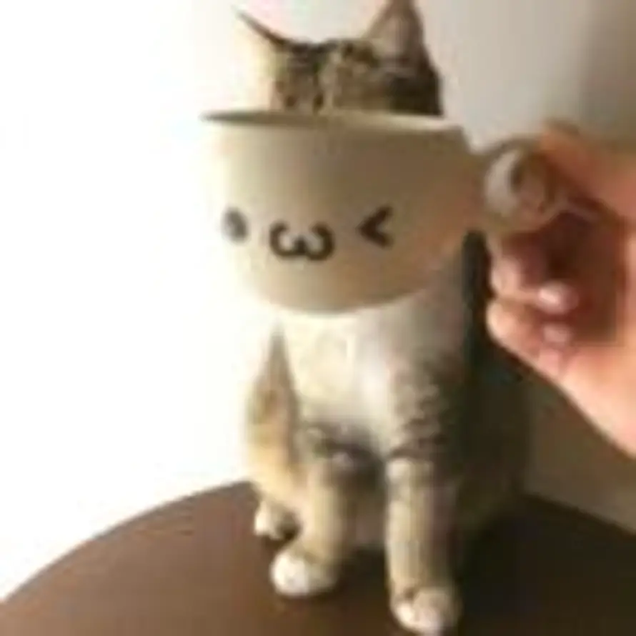 小炸鱼的头像