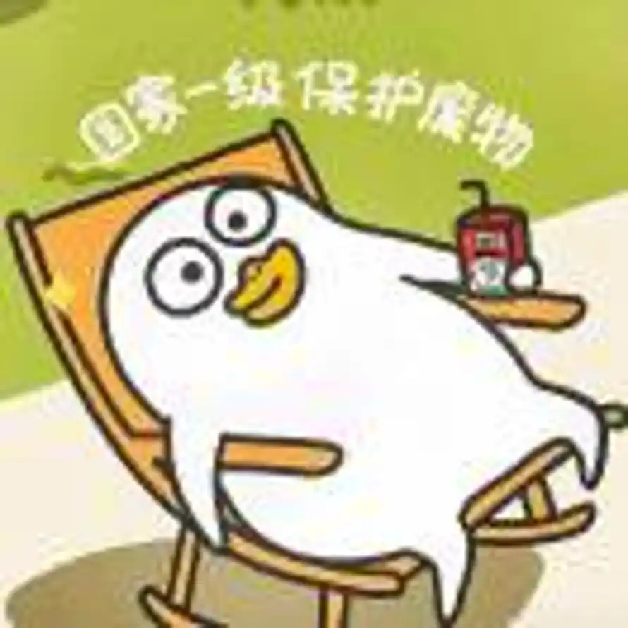 恒的用户头像 - 哲风壁纸