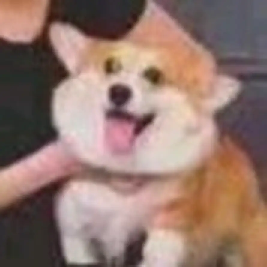 坏银的头像