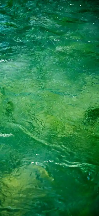 4k水波壁纸 - 水纹 - 水面 - 浅滩「哲风壁纸」