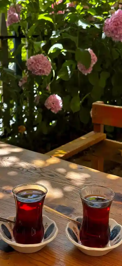 4k休闲壁纸 - 户外 - 木桌 - 红茶「哲风壁纸」