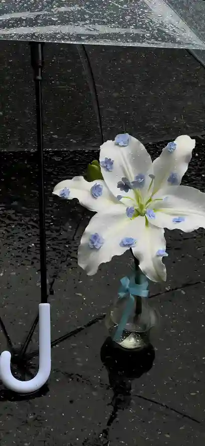 4k百合壁纸 - 花艺 - 雨伞 - 雨天「哲风壁纸」