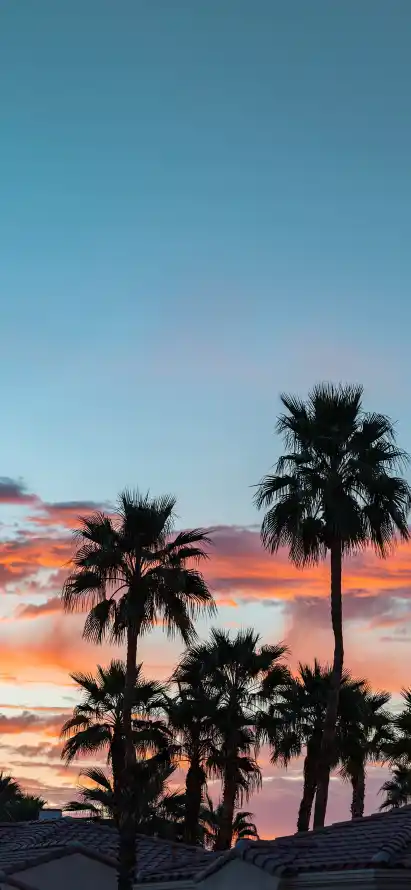 主题背景图片