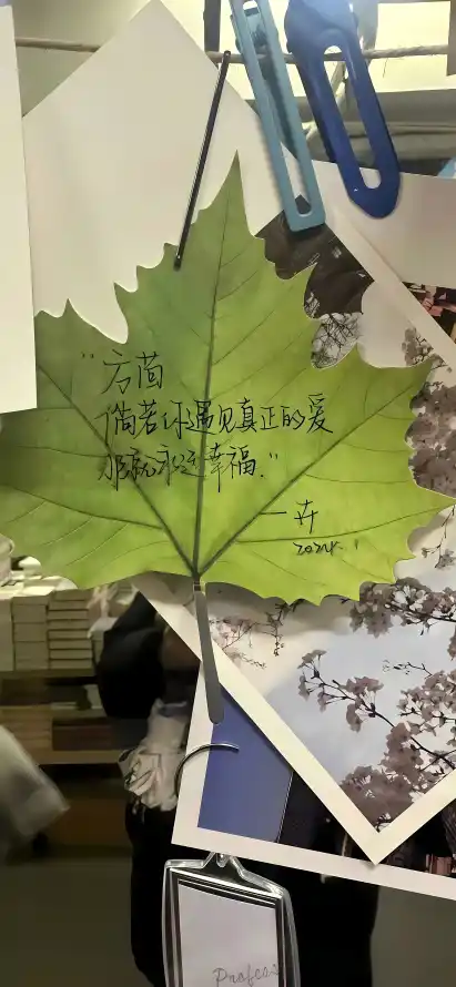主题背景图片