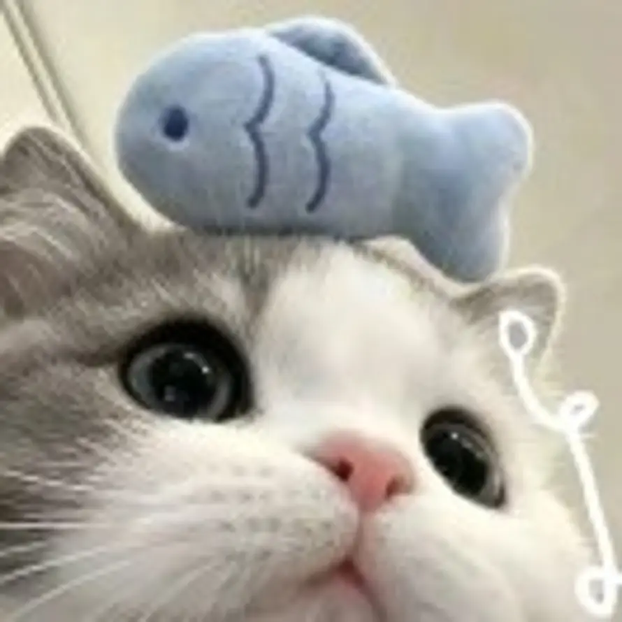 🐬的头像