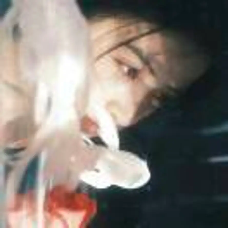 妄渡°的头像
