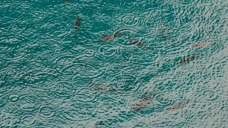 4k沙滩壁纸 - 波纹 - 浅滩 - 海岸「哲风壁纸」