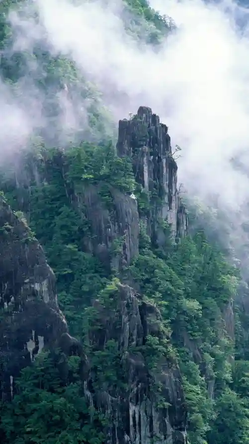 4k岩石壁纸 - 山川 - 植被 - 山林「哲风壁纸」