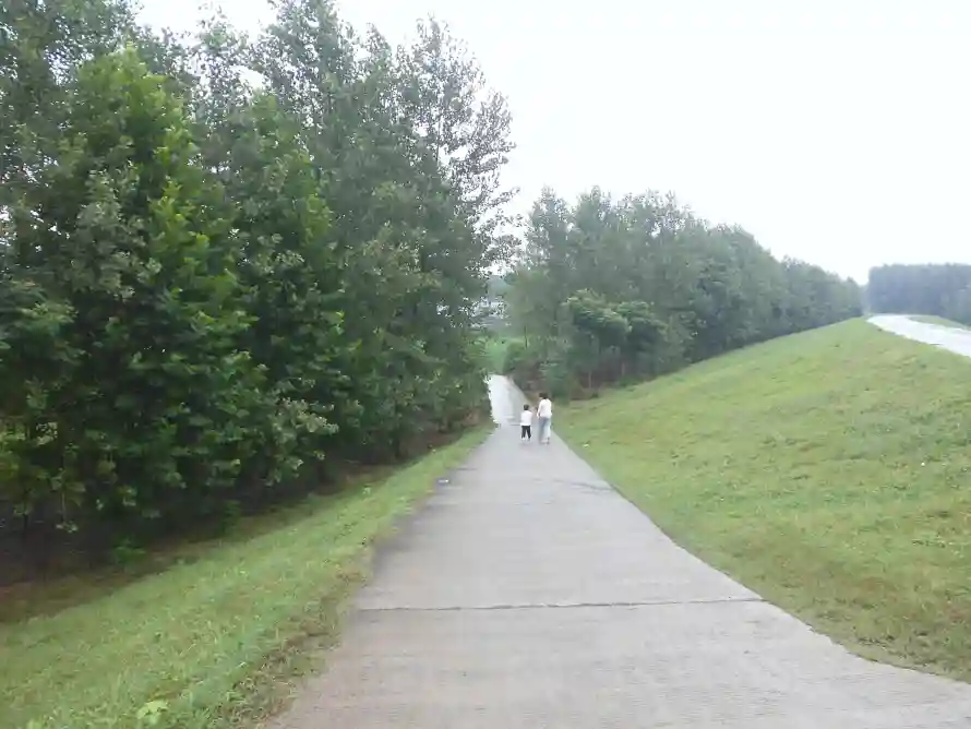 4k散步壁纸 - 林荫 - 树木 - 步道「哲风壁纸」 4k散步壁纸 - 林荫 - 树木 - 步道「哲风壁纸」
