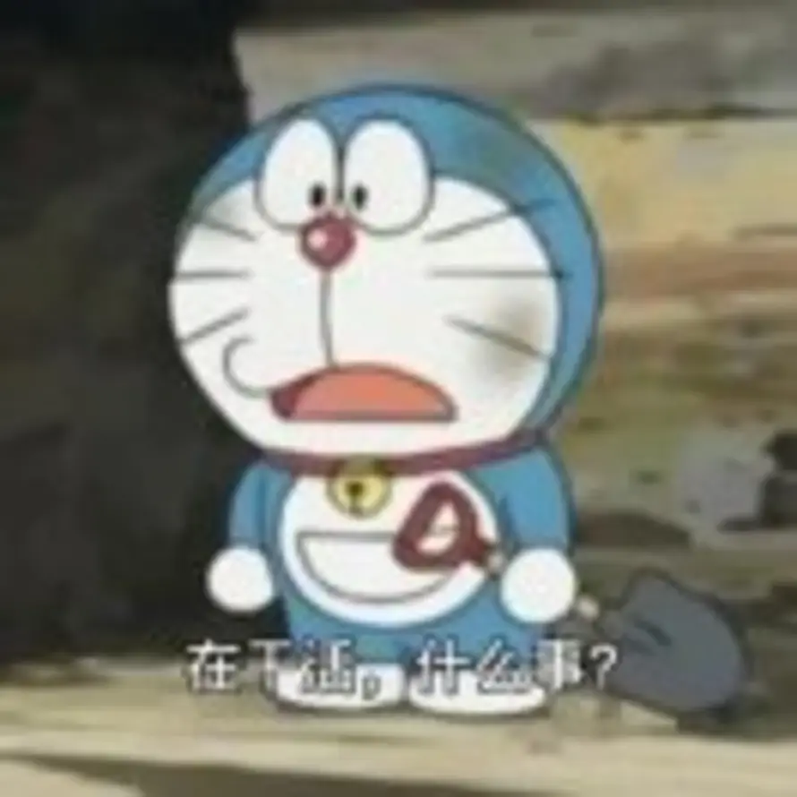 David的头像