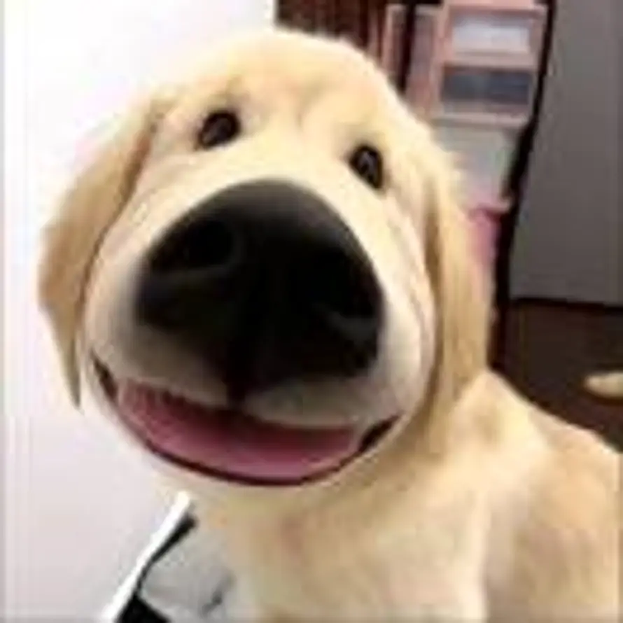3⃣的头像