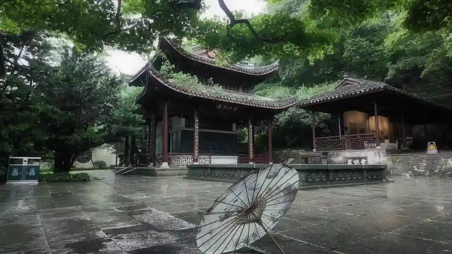 4k古亭壁纸 - 庭院 - 树木 - 水雾「哲风壁纸」