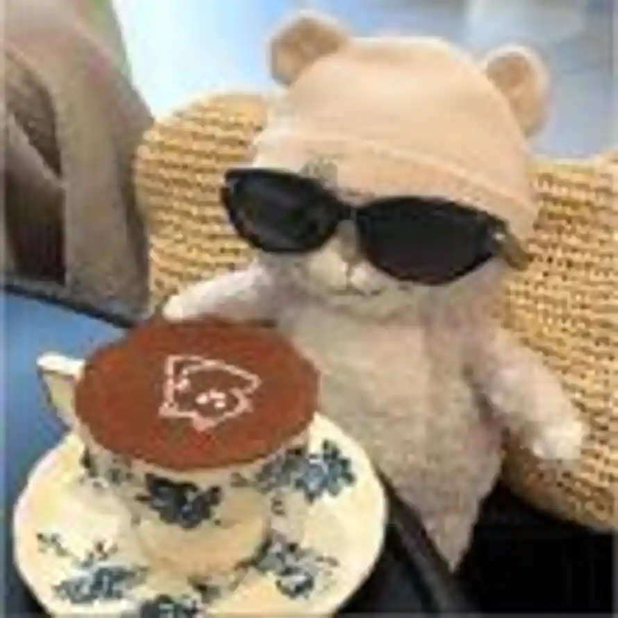 Ssy_的头像
